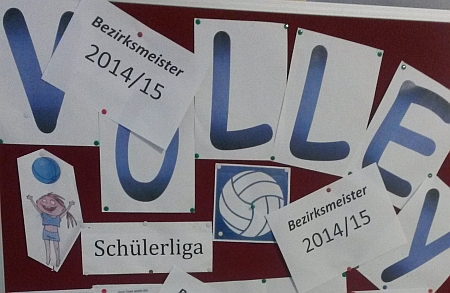 Schülerligameisterschaft 14/15 – Volleyball