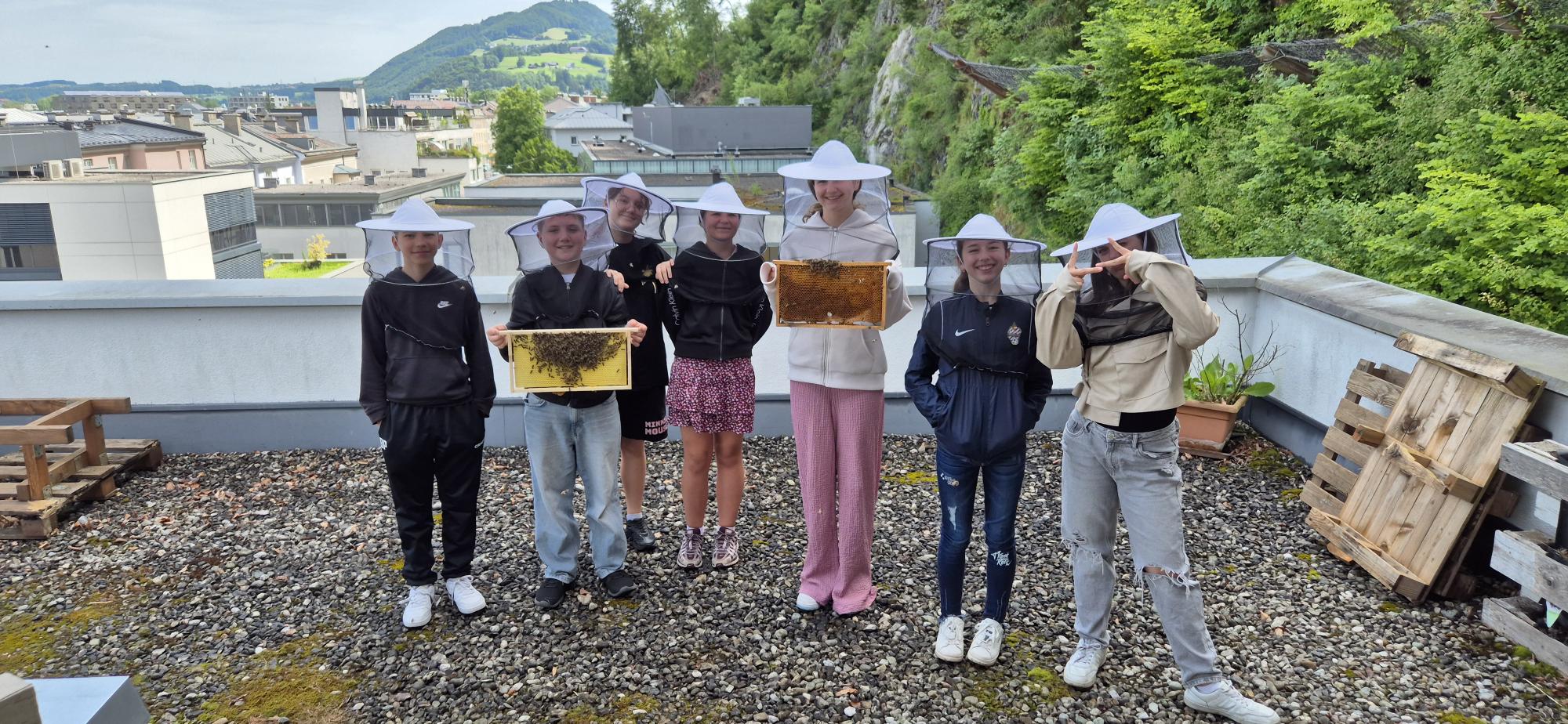 🐝 Bienentage der 2. Klassen – Lernen mit allen Sinnen